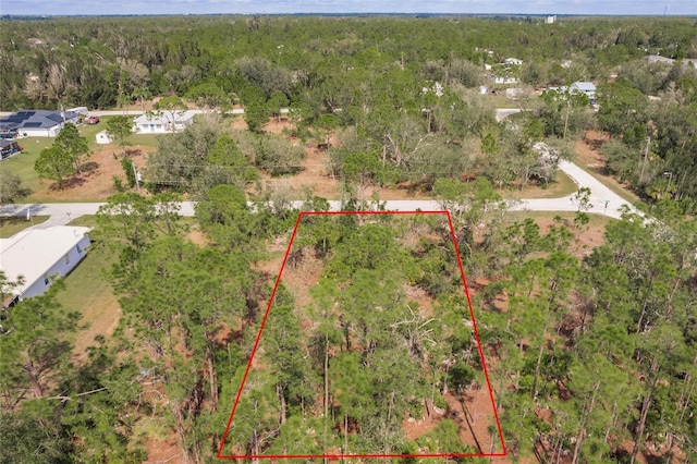 28059 Bandit Dr, Punta Gorda, FL 33955
