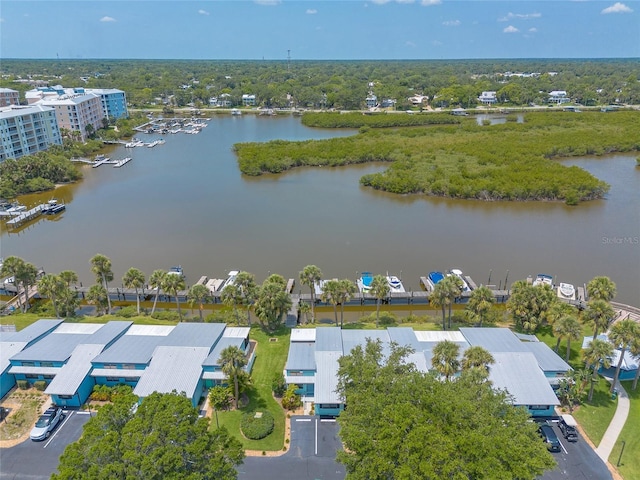 76 Heather Point Ct, New Smyrna Beach, FL 32169 - aerial view of a large body of water