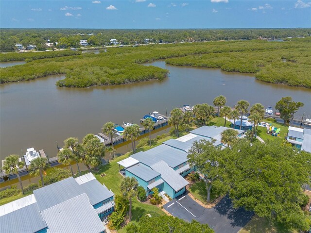 76 Heather Point Ct, New Smyrna Beach, FL 32169 - bird's eye view of a nearby body of water