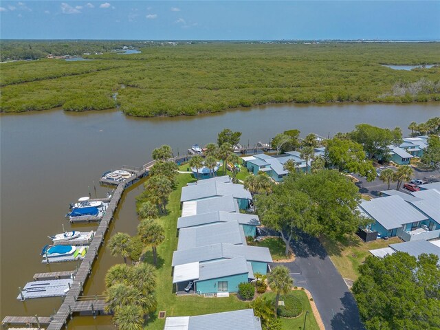 76 Heather Point Ct, New Smyrna Beach, FL 32169 - bird's eye view of a nearby body of water