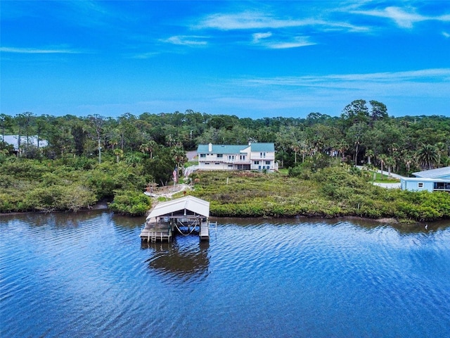 2950 Sunset Dr, New Smyrna Beach, FL 32168 - dock with a view of trees and a water view