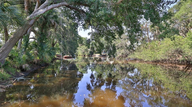 798 Fairway Dr, New Smyrna Beach, FL 32168 - water view with a heavily wooded area