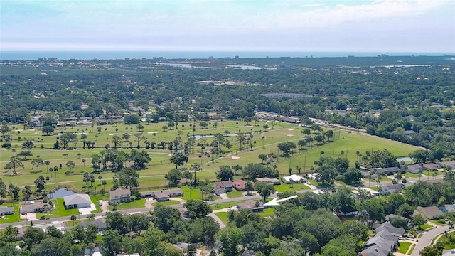 798 Fairway Dr, New Smyrna Beach, FL 32168 - aerial view of property and surrounding area