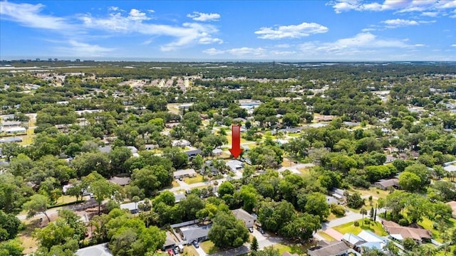 2325 Lime Tree Dr, Edgewater, FL 32141 - aerial view
