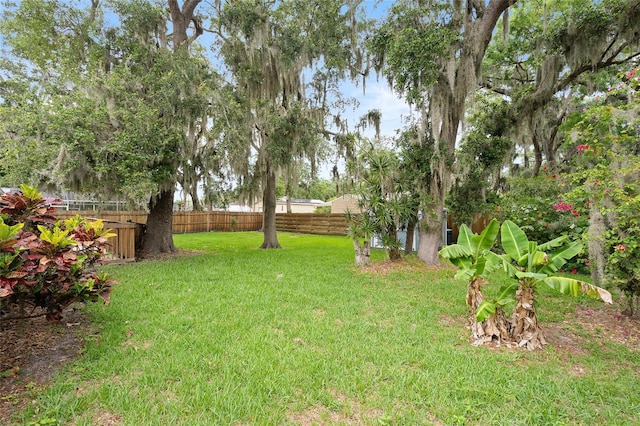 1723 Needle Palm Dr, Edgewater, FL 32132 - view of yard