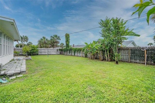 25 Dolphin Ave, Ormond Beach, FL 32176 - view of yard