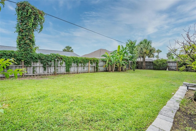 25 Dolphin Ave, Ormond Beach, FL 32176 - view of yard