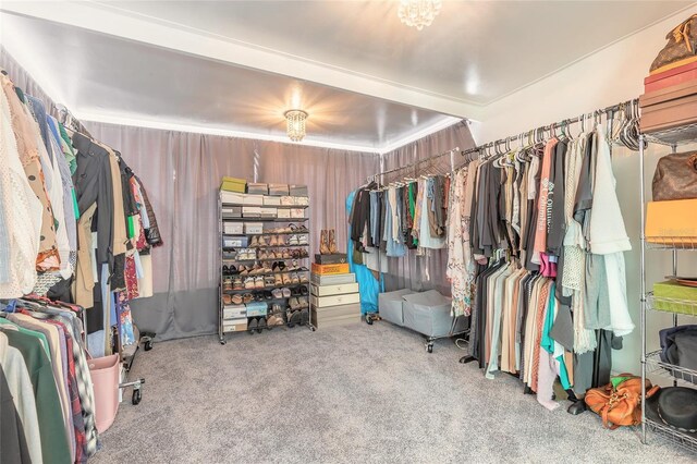 2900 S Peninsula Dr, Daytona Beach, FL 32118 - spacious closet with carpet