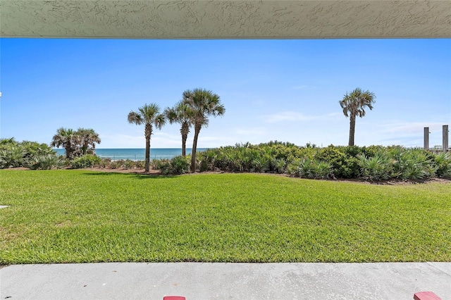 5301 S Atlantic Ave Unit 140, New Smyrna Beach, FL 32169 - view of grassy yard with a water view