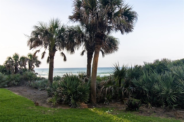 5301 S Atlantic Ave Unit 140, New Smyrna Beach, FL 32169 - view of yard featuring a water view