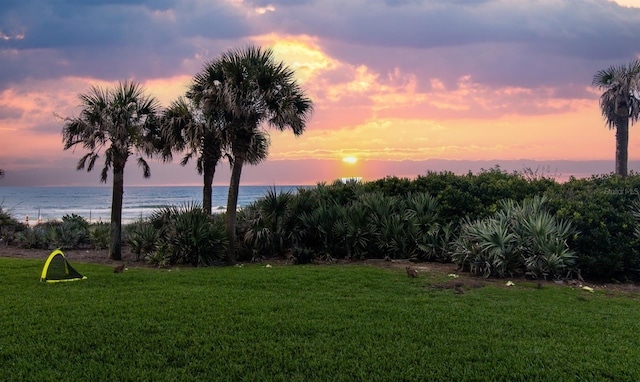 5301 S Atlantic Ave Unit 140, New Smyrna Beach, FL 32169 - view of grassy yard with a water view
