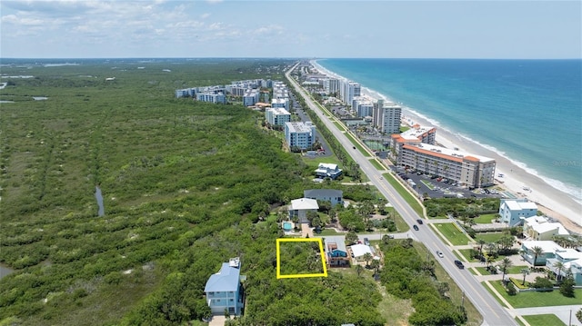 798 Angelfish Ave, New Smyrna Beach, FL 32169
