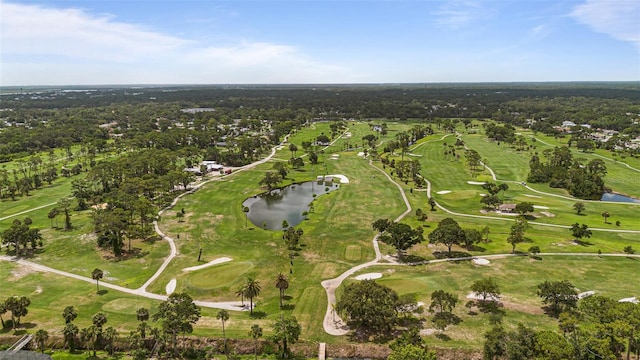 223 NE Golf Club Dr, New Smyrna Beach, FL 32168 - photo 32