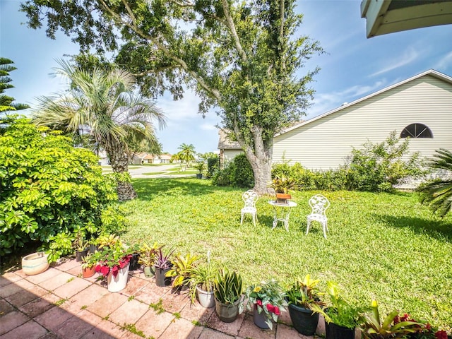 686 Middlebury Loop, New Smyrna Beach, FL 32168 - view of green lawn