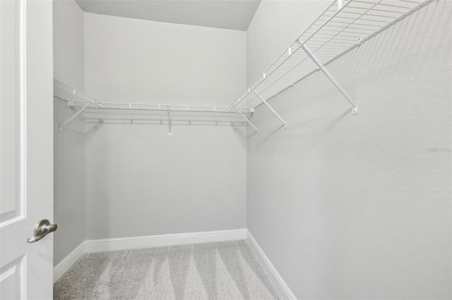 7 Riverwalk Dr Unit 305, New Smyrna Beach, FL 32169 - spacious closet with carpet