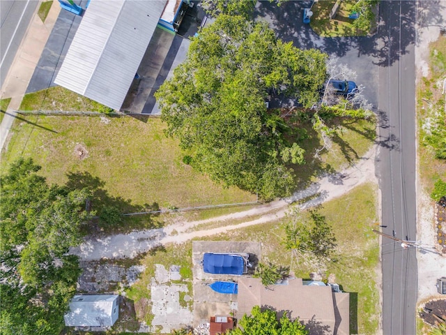 527 Dora St, New Smyrna Beach, FL 32168