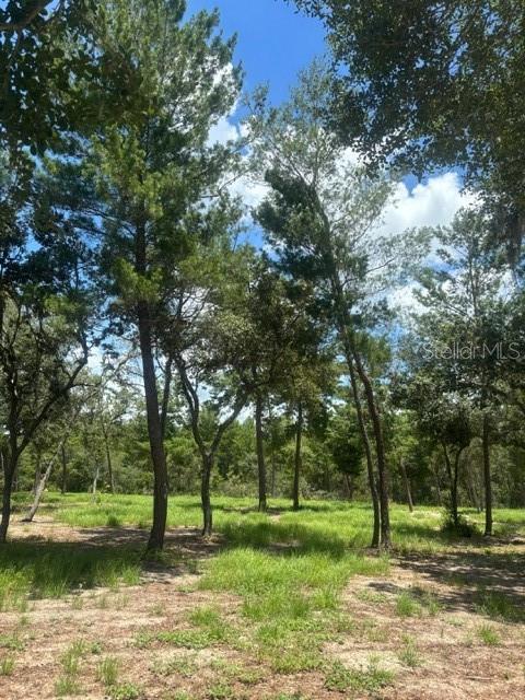 5832 Michelle Ln, Sanford, FL 32771 - photo 24