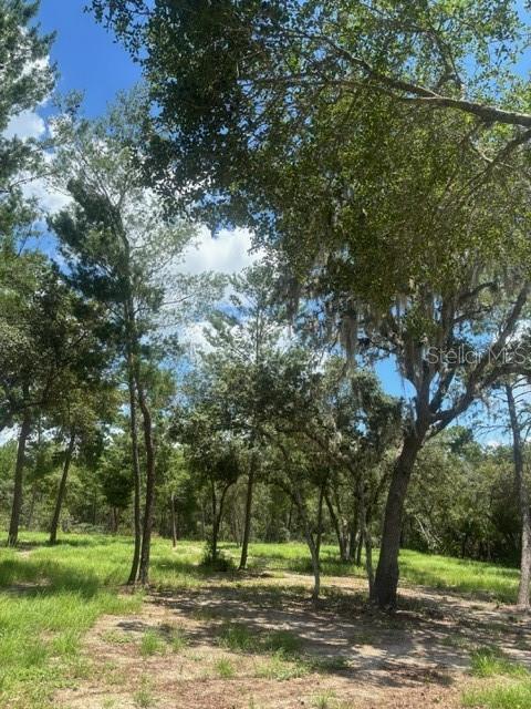 5832 Michelle Ln, Sanford, FL 32771 - photo 25