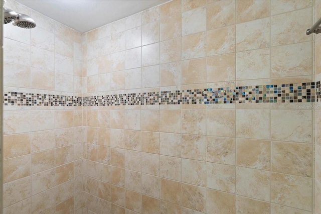 901 S Atlantic Ave Unit 202, Ormond Beach, FL 32176 - bathroom view of tiled shower