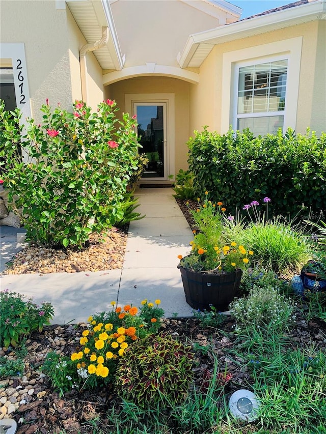 2672 Star Coral Ln, New Smyrna Beach, FL 32168 - property entrance featuring stucco siding