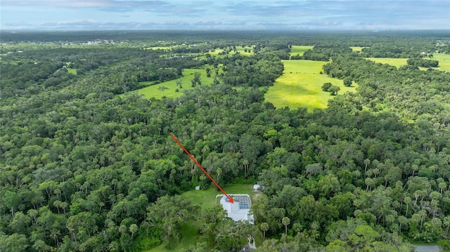 2360 Mooneyham Dr, New Smyrna Beach, FL 32168 - aerial overview of property's location with a forest