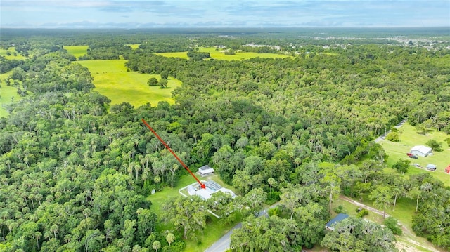 2360 Mooneyham Dr, New Smyrna Beach, FL 32168 - aerial view of property and surrounding area with a heavily wooded area