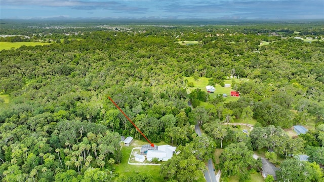 2360 Mooneyham Dr, New Smyrna Beach, FL 32168 - aerial view of property's location with a heavily wooded area