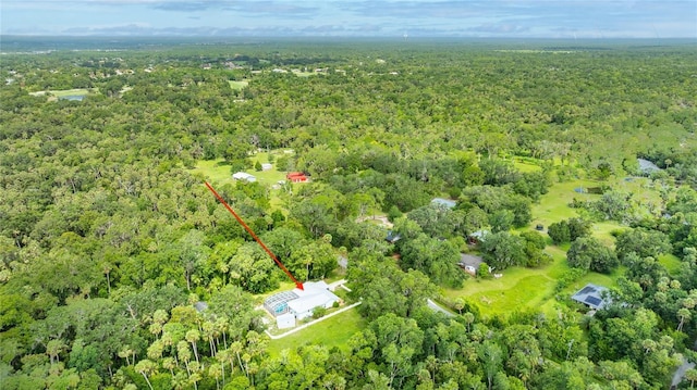 2360 Mooneyham Dr, New Smyrna Beach, FL 32168 - aerial view of a heavily wooded area