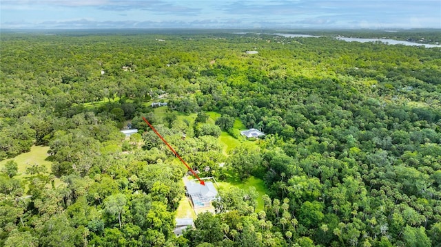 2360 Mooneyham Dr, New Smyrna Beach, FL 32168 - bird's eye view of a forest and a large body of water