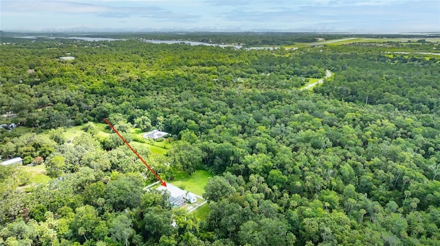 2360 Mooneyham Dr, New Smyrna Beach, FL 32168 - view of property location featuring a forest