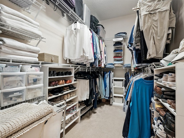 461 Luna Bella Ln, New Smyrna Beach, FL 32168 - spacious closet with carpet flooring