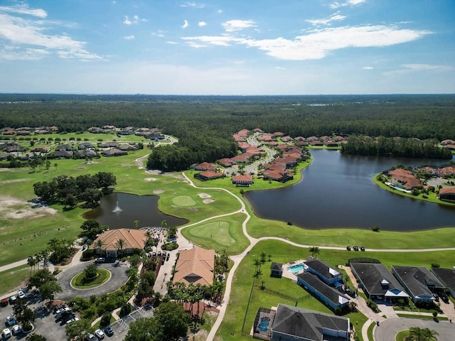461 Luna Bella Ln, New Smyrna Beach, FL 32168 - aerial perspective of suburban area with a large body of water and a forest