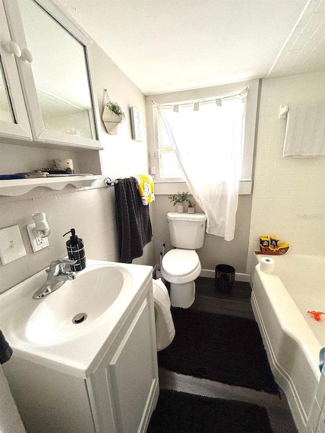 306 Murray St, New Smyrna Beach, FL 32168 - bathroom with vanity and a bathtub