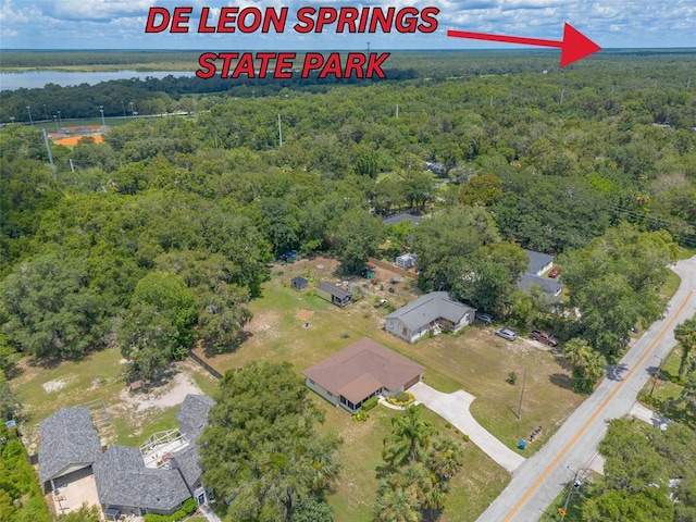 5060 Audubon Ave, De Leon Springs, FL 32130 - aerial overview of property's location featuring a forest and a large body of water