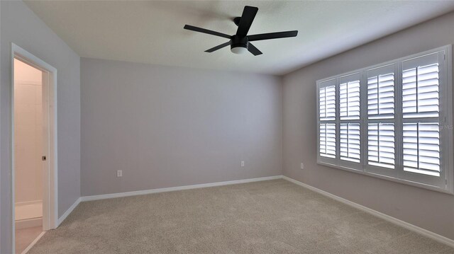 349 Caryota Ct, New Smyrna Beach, FL 32168 - photo 4