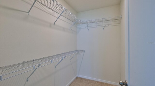 349 Caryota Ct, New Smyrna Beach, FL 32168 - photo 7