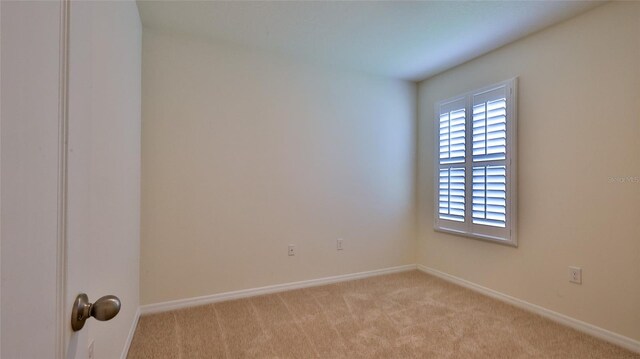 349 Caryota Ct, New Smyrna Beach, FL 32168 - photo 23