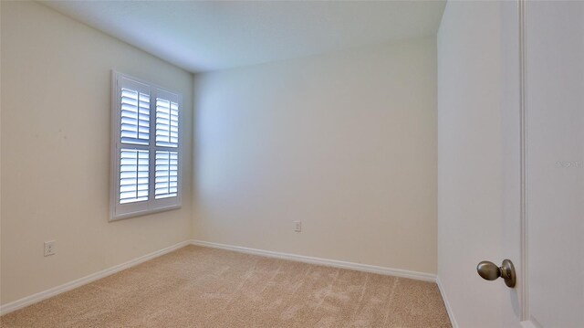 349 Caryota Ct, New Smyrna Beach, FL 32168 - photo 25