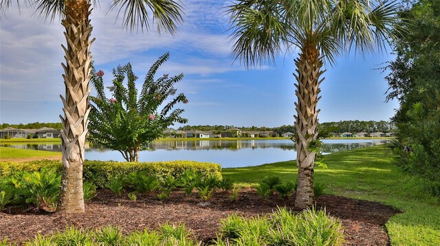 349 Caryota Ct, New Smyrna Beach, FL 32168 - photo 40