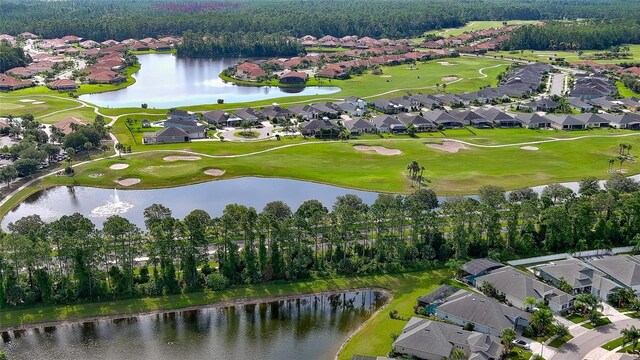 349 Caryota Ct, New Smyrna Beach, FL 32168 - photo 33