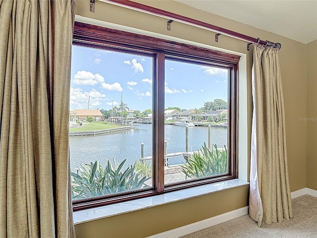 26 Creek Ct, Palm Coast, FL 32137 - detailed view of nearby water and carpet