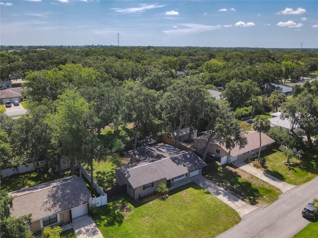 1421 Pine Tree Dr, Edgewater, FL 32132 - aerial view of a forest