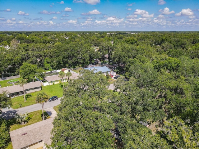 1421 Pine Tree Dr, Edgewater, FL 32132 - aerial view of a heavily wooded area