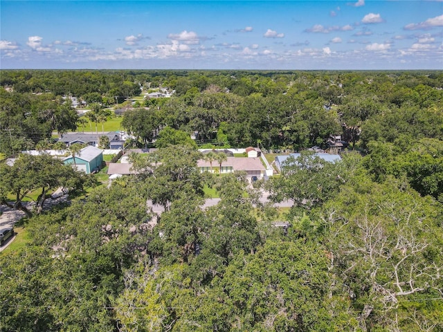 1421 Pine Tree Dr, Edgewater, FL 32132 - aerial view of a forest