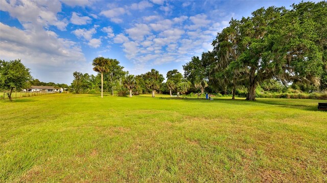 314 Carol Ann Dr, Edgewater, FL 32132 - photo 4