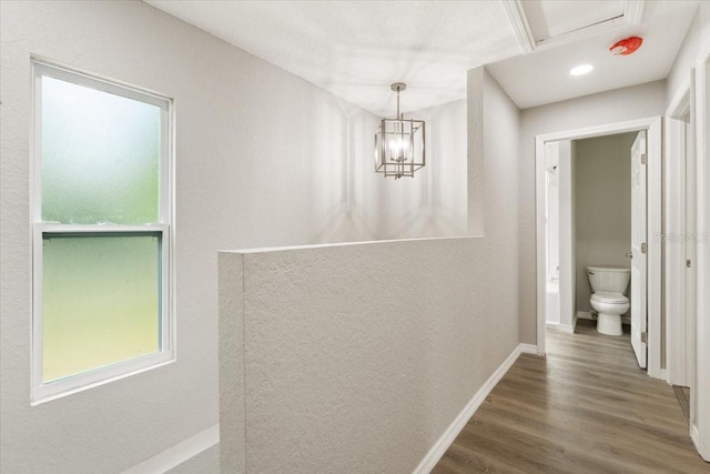 2005 Sunny Ln, New Smyrna Beach, FL 32168 - hall with wood finished floors, plenty of natural light, and a chandelier