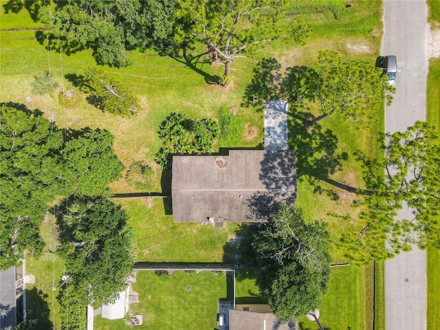 3045 Pine Tree Dr, Edgewater, FL 32141 - bird's eye view