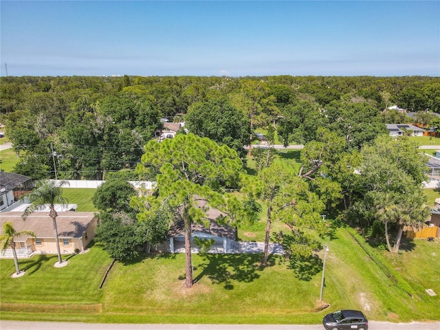 3045 Pine Tree Dr, Edgewater, FL 32141 - aerial view of a forest