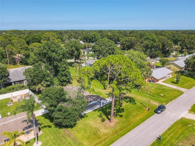3045 Pine Tree Dr, Edgewater, FL 32141 - drone / aerial view of a heavily wooded area