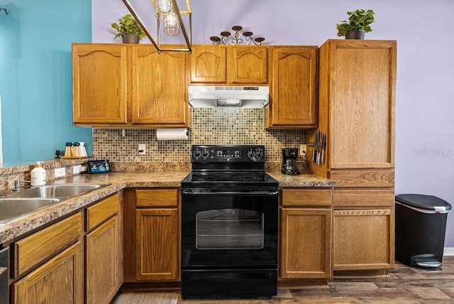411 Ryans Ridge Ave, Eustis, FL 32726 - kitchen featuring black / electric stove, under cabinet range hood, tasteful backsplash, wood finished floors, and light countertops